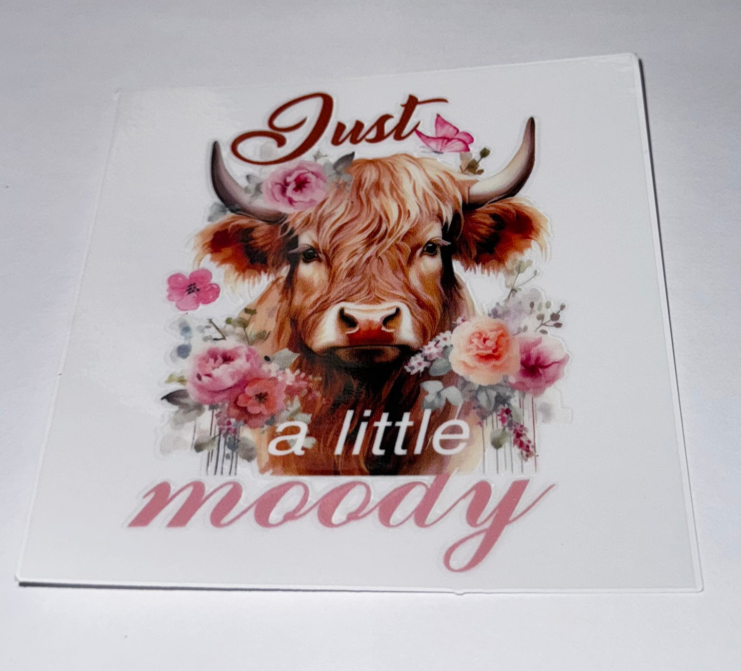 Highland Cows