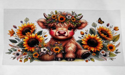 Highland Cow #7