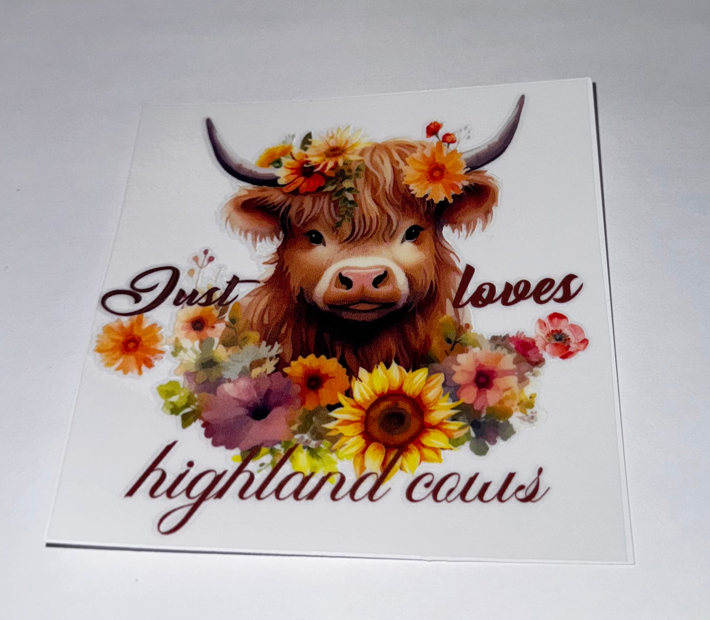 Highland Cows