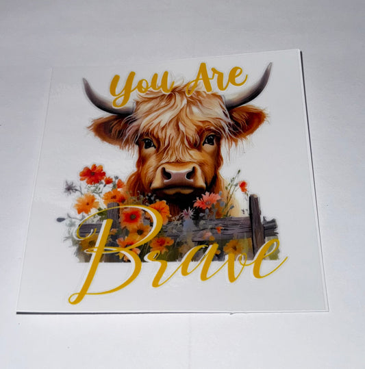 Highland Cows