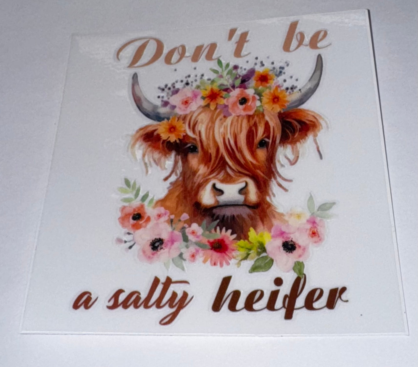 Highland Cows