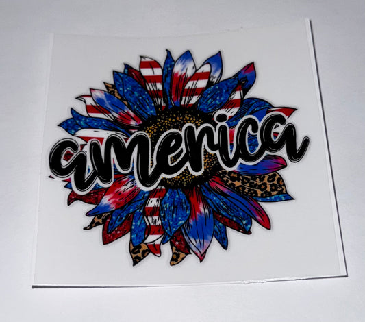 America Sunflower