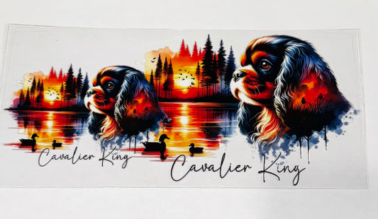 Cavalier King