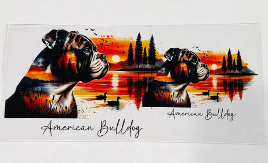 American Bulldog