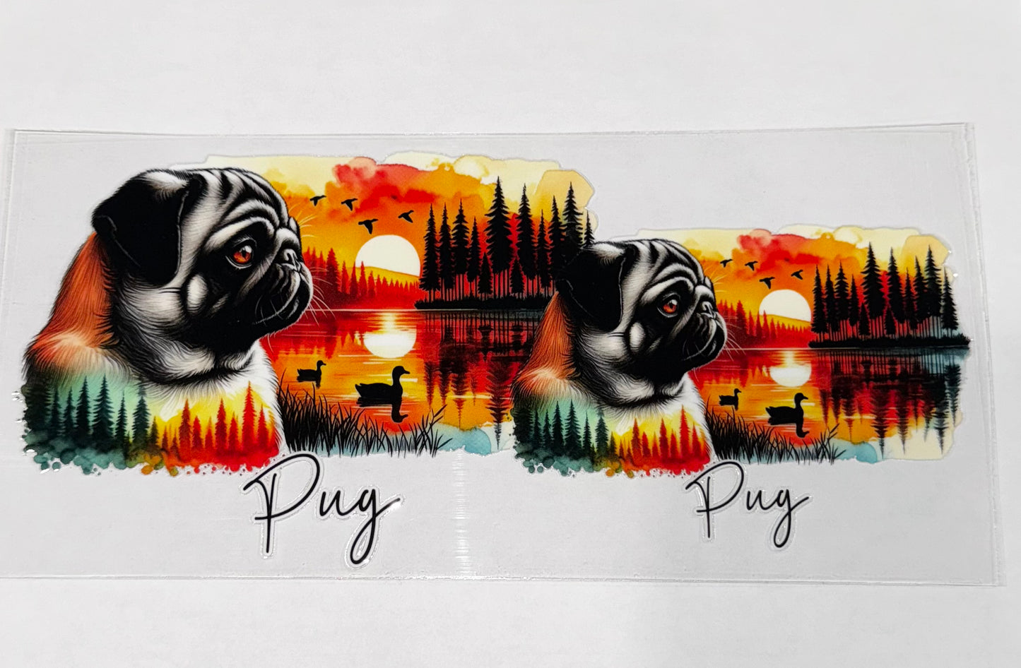 Pug