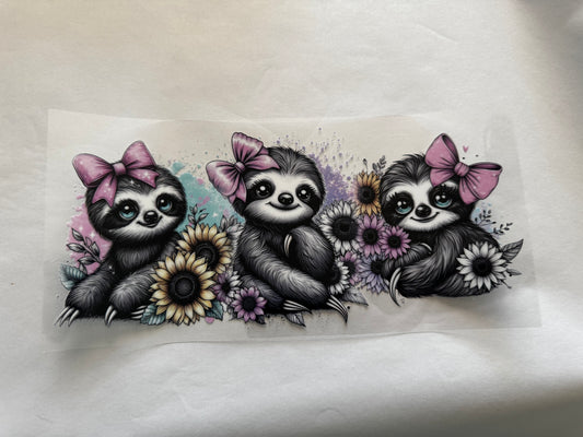 Cute Sloths
