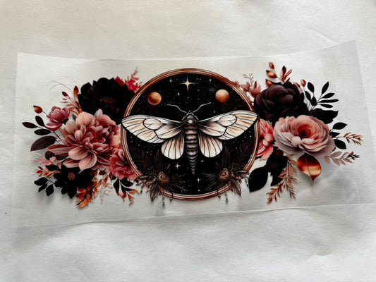 Moth