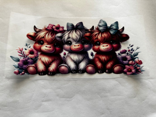 Highland Cow #2